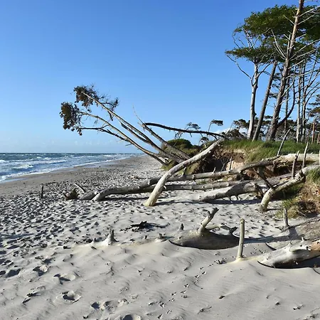 Strand Zingst Zingst