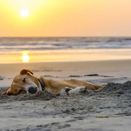 Appartement - Charmante An Der Seebruecke Zingst